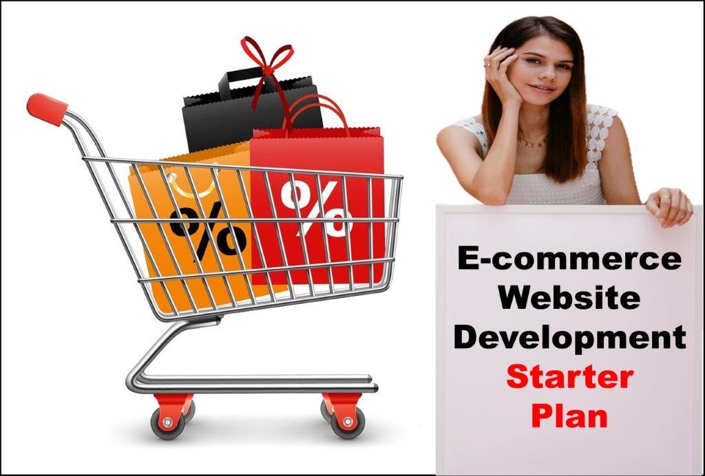 E-Commerce Website Development in Albany New York