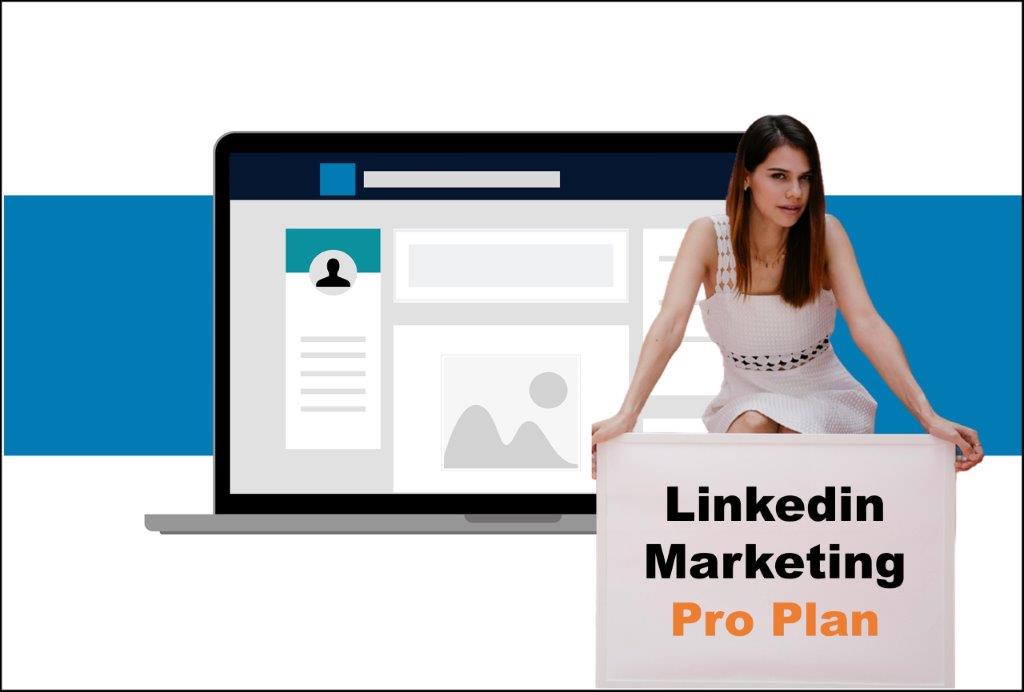 linkedin marketing agency in Albany New York