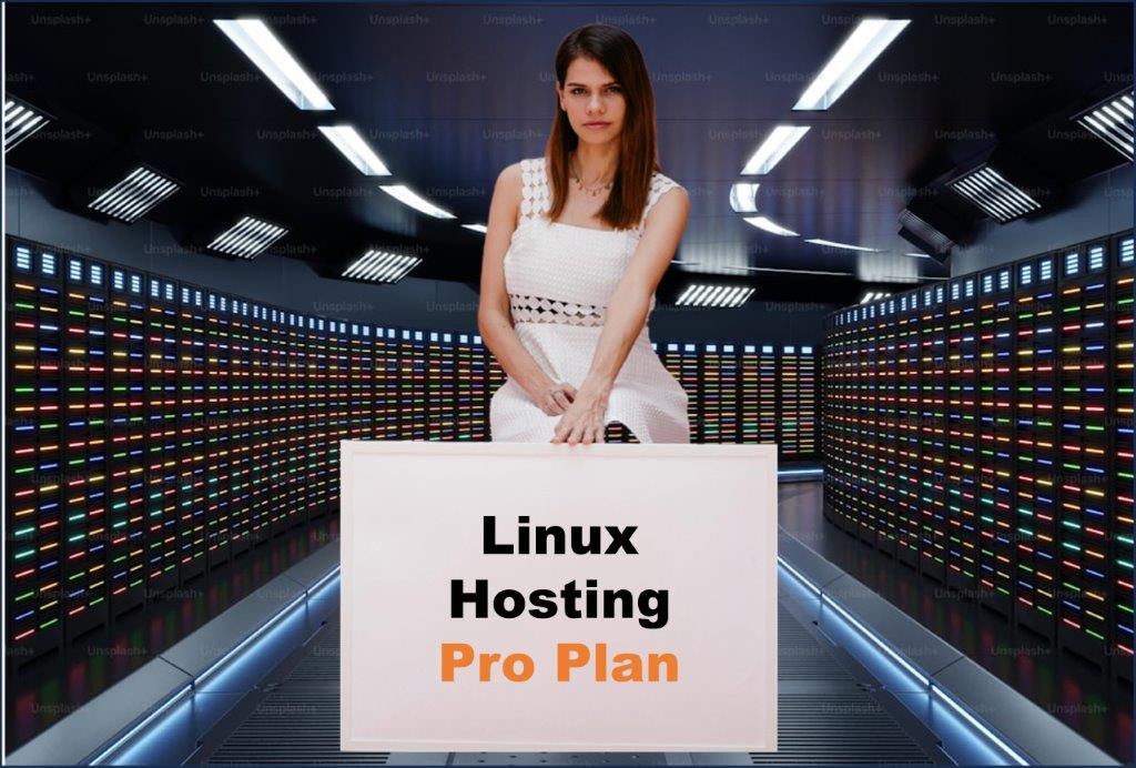 linux hosting windows hosting provider in Albany New York