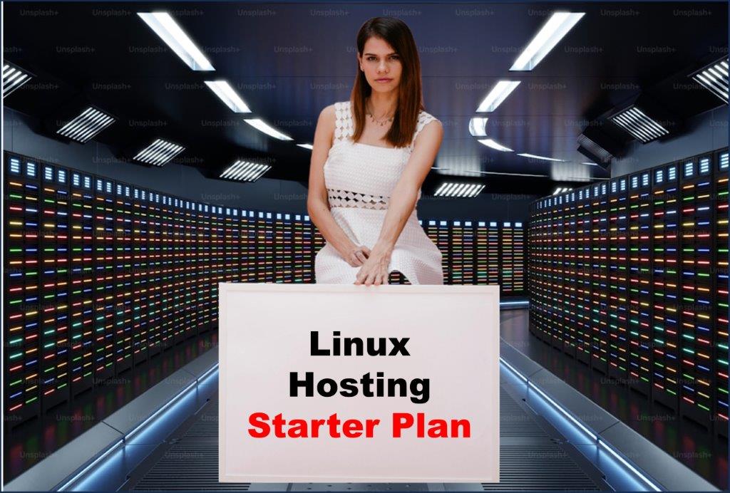 Website Hosting in Albany New York