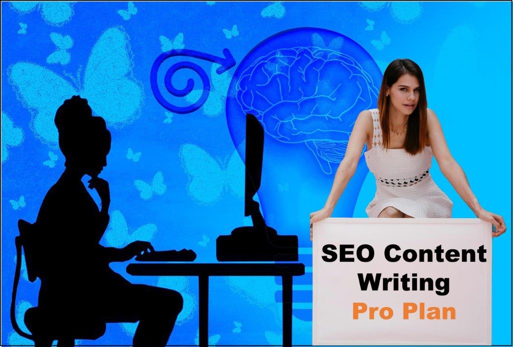 seo content writing agency Albany New York