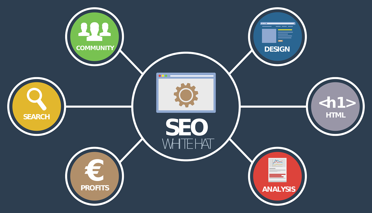seo experts in Albany New York