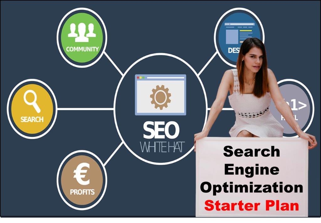 seo service provider in Albany New York