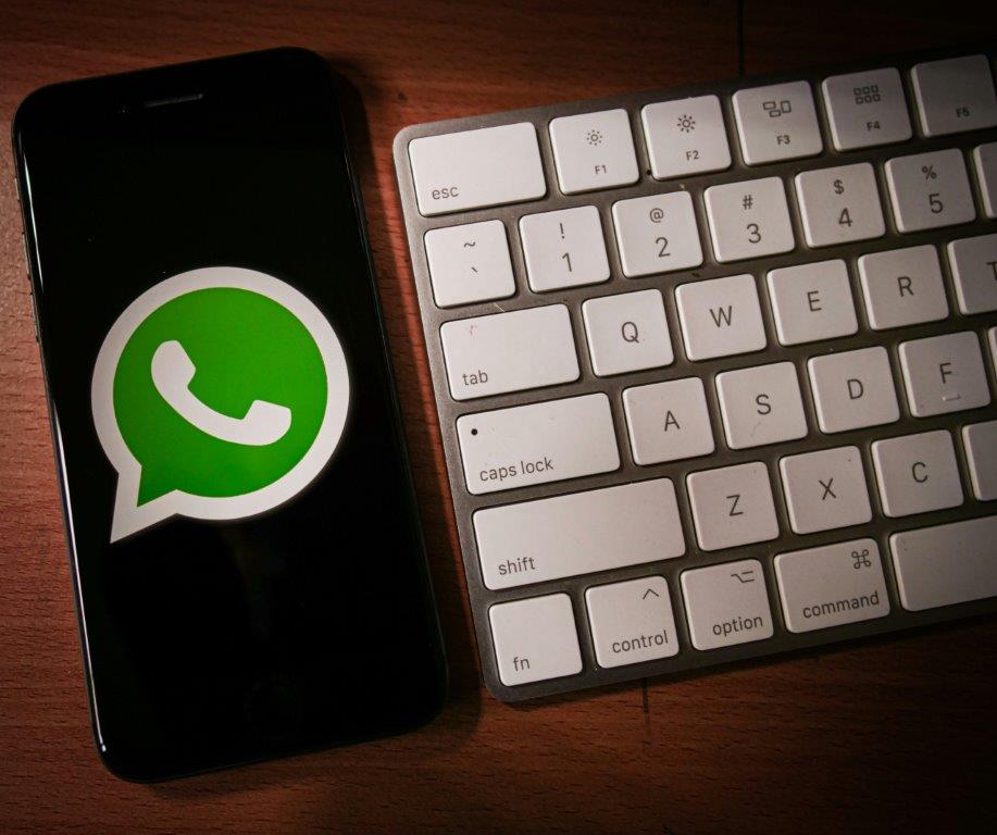 whatsapp marketing company in Albany New York