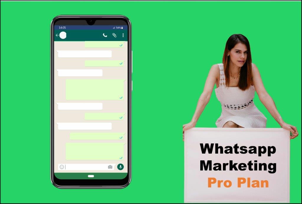 whatsapp marketing agency in Albany New York