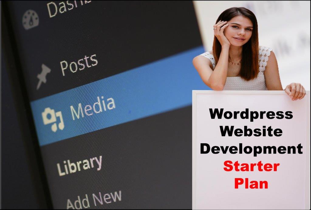 Wordpress Website Development in Albany New York